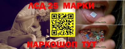 PSILOCYBIN Сланцы
